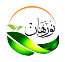 Nourhan Group Logo
